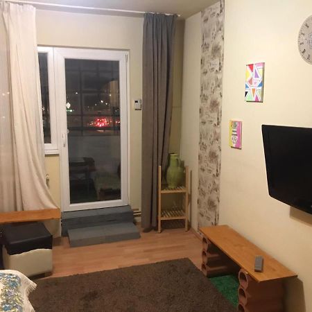 Family Studio Central Apartment Cluj-Napoca Luaran gambar